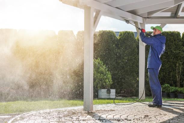 Best Patio and Deck Pressure Washing  in Niceville, FL
